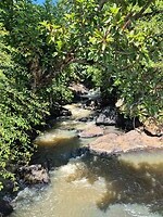 Kerio_Valley (19)