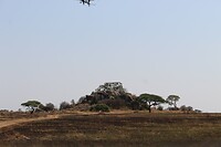 Serengeti (55)