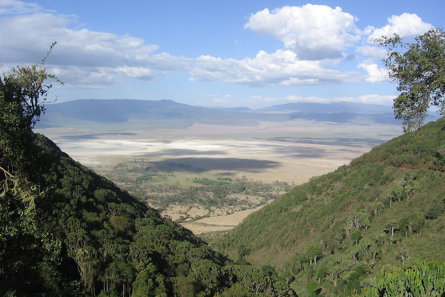 Ngoro 1