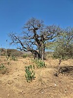 Arusha_ (5)