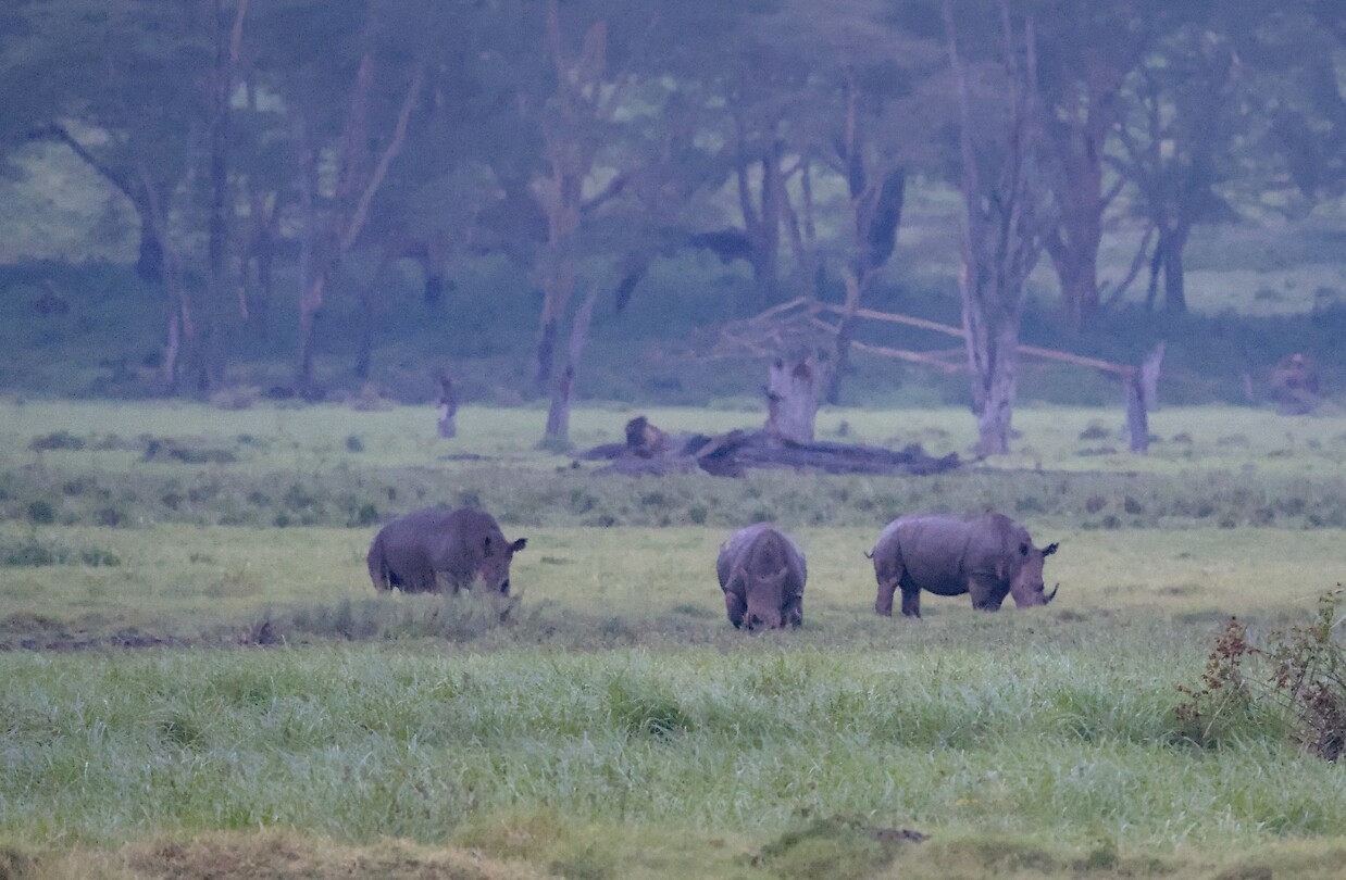 Nakuru extra 2