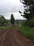 Fort Portal