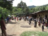 Rwenzori