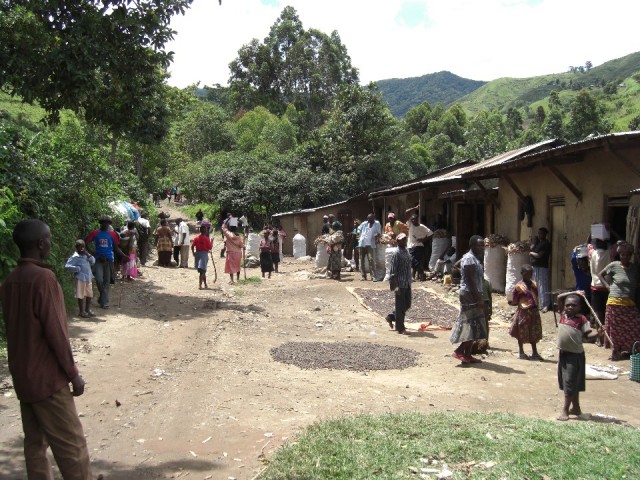 Rwenzori