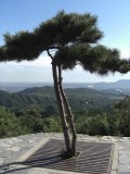 Fragrant Mountains