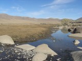 Mongolië