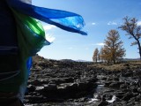 Mongolië