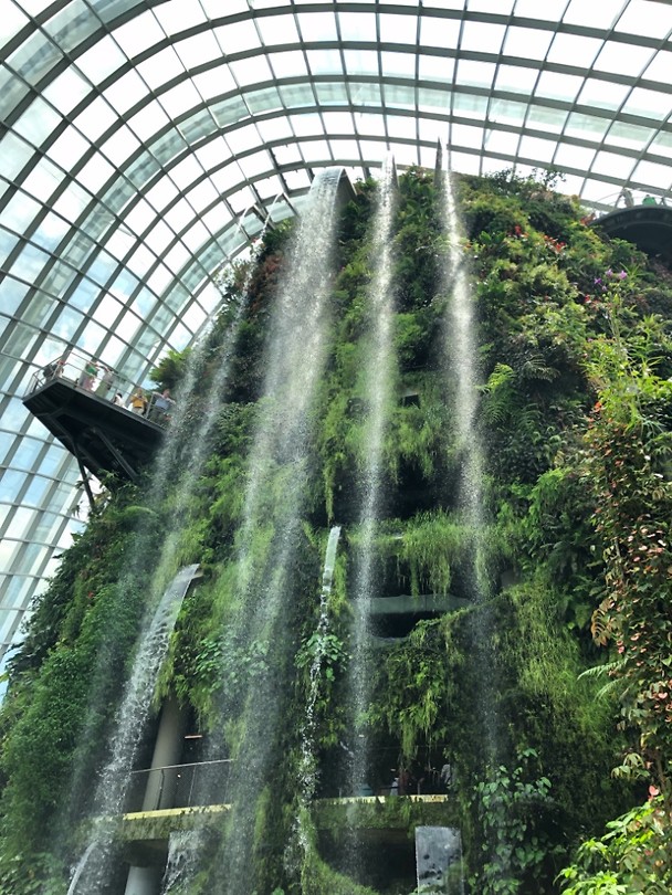 Cloud Forrest Garden - Waterfall
