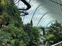 Cloud Forrest Garden