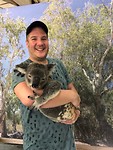 Koala knuffelen