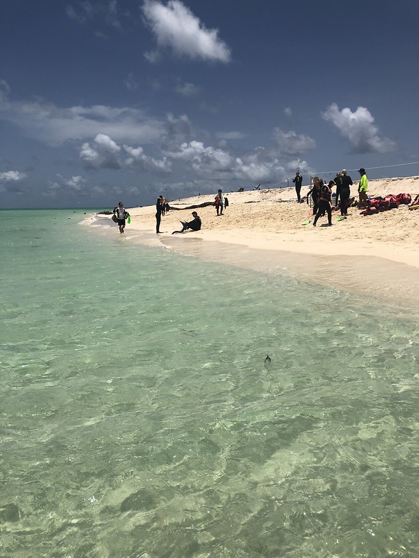 Michaelmas Cay strand