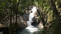 Eungella National Park - Waterval