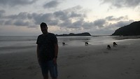 Kangoeroes op strand Cape Hillsborough National Park - 1