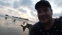Kangoeroes op strand Cape Hillsborough National Park - 3