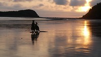 Kangoeroes op strand Cape Hillsborough National Park - 5