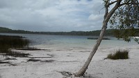 Fraser Island - Lake McKenzie
