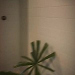 Byron Bay -  27 & 28 februari