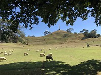 One Tree Hill - Auckland