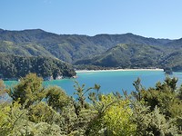 Abel Tasman National Park 4