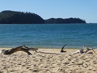 Abel Tasman National Park 2