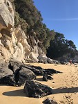 Abel Tasman National Park 1