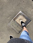Center of New-Zealand