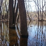 IMG_20180504_185052_315