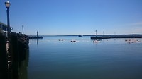 Haven pontje met ijs