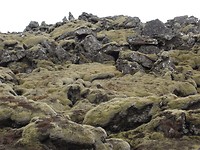 Lava met mos