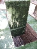 DSCN7001