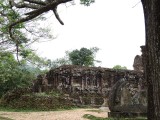 DSCN7438