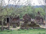 DSCN7456
