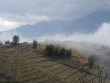 DSCN7652