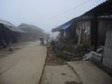 DSCN7688
