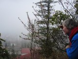 DSCN7761