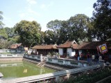DSCN7851