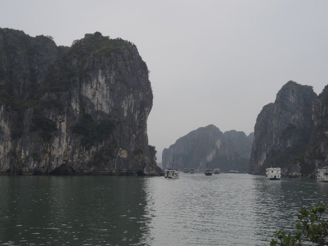DSCN7917
