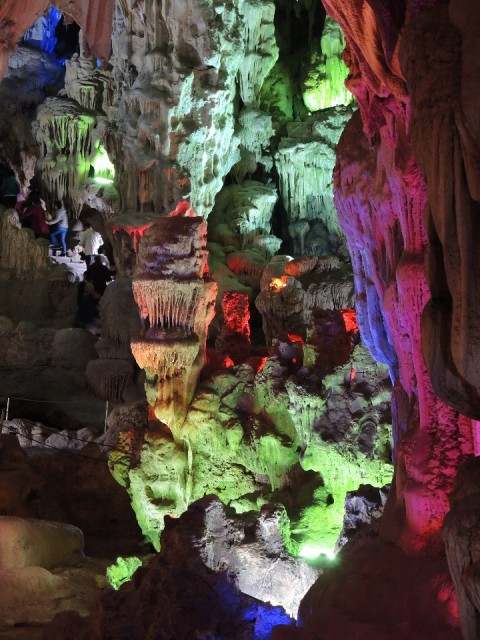 DSCN8004