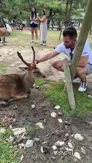 ..