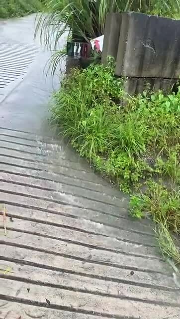 ..