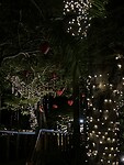 IMG_6629