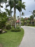 IMG_6659