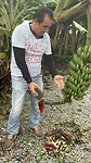 IMG_6710