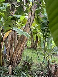 IMG_6715