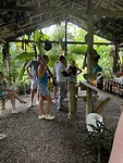 IMG_6724