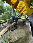 IMG_6734