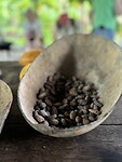 IMG_6746