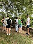 IMG_6754