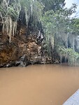 IMG_6761