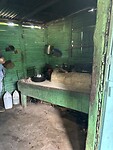 IMG_6874